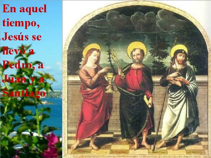 En aquel tiempo, Jesús se llevó a Pedro, a Juan y a Santiago 