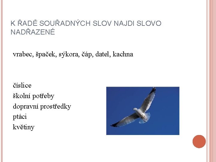 K ŘADĚ SOUŘADNÝCH SLOV NAJDI SLOVO NADŘAZENÉ vrabec, špaček, sýkora, čáp, datel, kachna číslice