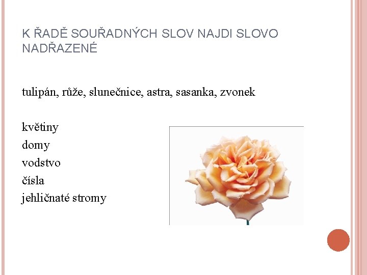 K ŘADĚ SOUŘADNÝCH SLOV NAJDI SLOVO NADŘAZENÉ tulipán, růže, slunečnice, astra, sasanka, zvonek květiny