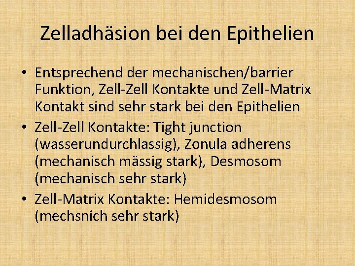 Zelladhäsion bei den Epithelien • Entsprechend der mechanischen/barrier Funktion, Zell-Zell Kontakte und Zell-Matrix Kontakt