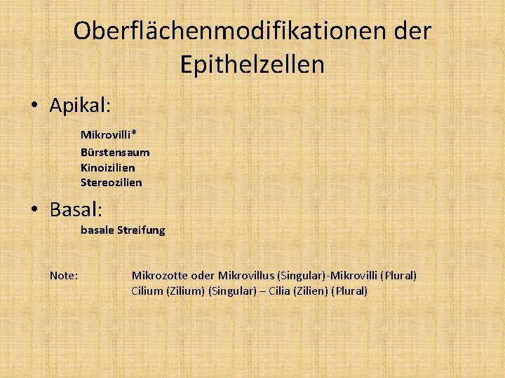 Oberflächenmodifikationen der Epithelzellen • Apikal: Mikrovilli* Bürstensaum Kinoizilien Stereozilien • Basal: basale Streifung Note: