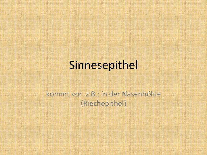 Sinnesepithel kommt vor z. B. : in der Nasenhöhle (Riechepithel) 