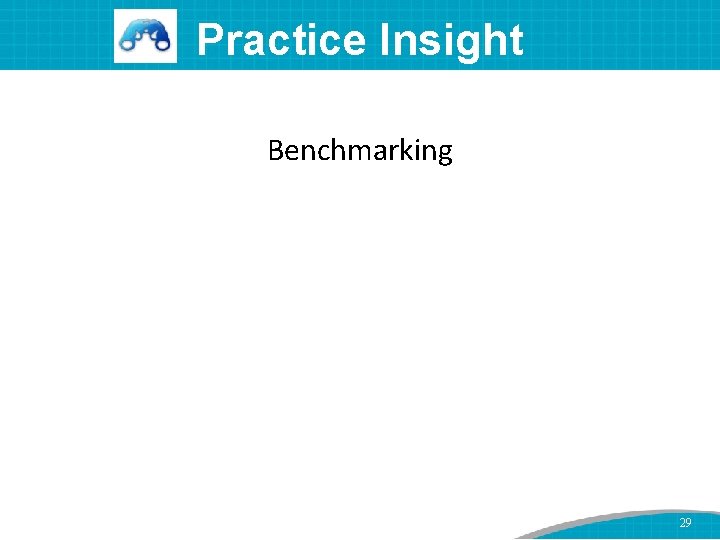 Practice Insight Benchmarking 29 