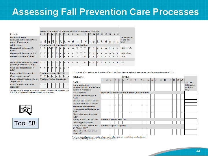 Assessing Fall Prevention Care Processes Tool 5 B 44 