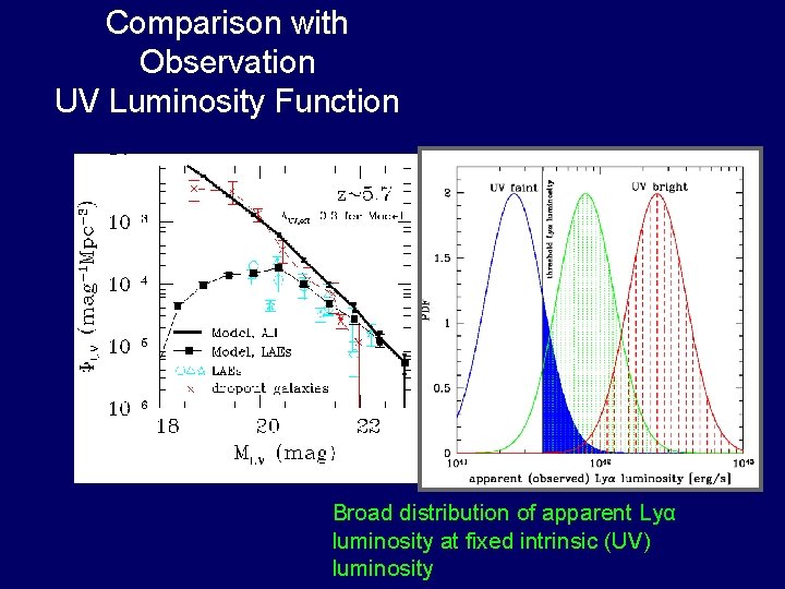 Comparison with Observation UV Luminosity Function Broad distribution of apparent Lyα luminosity at fixed