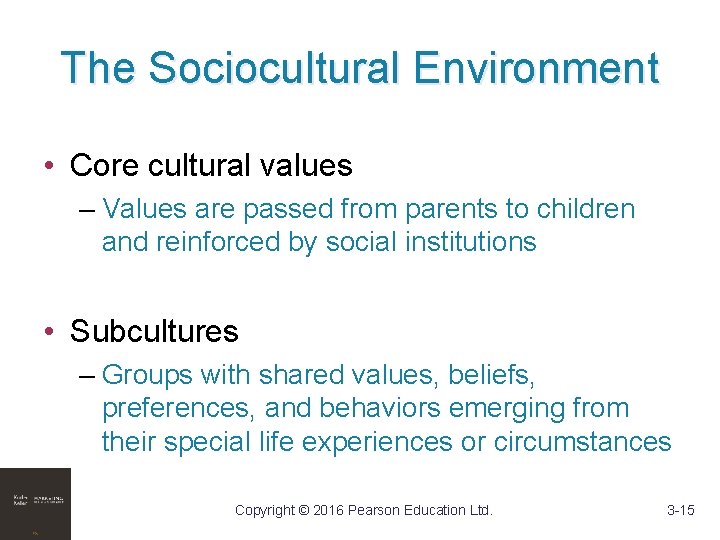 The Sociocultural Environment • Core cultural values – Values are passed from parents to