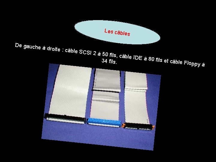 Les câbl es De gauche à droite : c âble SCSI 2 à 50