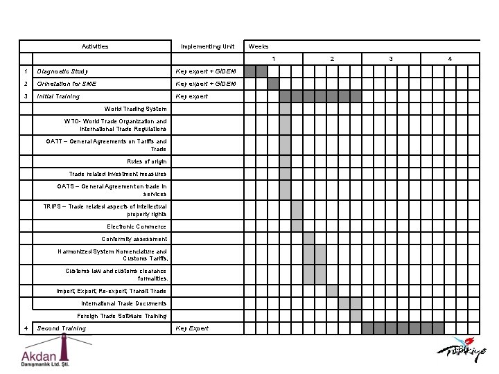 Activities Implementing Unit Weeks 1 2 3 4 1 Diagnostic Study Key expert +