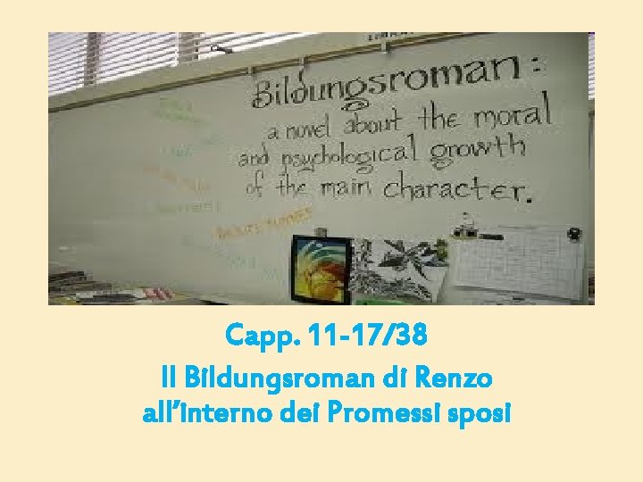 Capp. 11 -17/38 Il Bildungsroman di Renzo all’interno dei Promessi sposi 