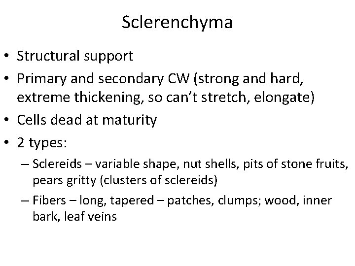 Sclerenchyma • Structural support • Primary and secondary CW (strong and hard, extreme thickening,