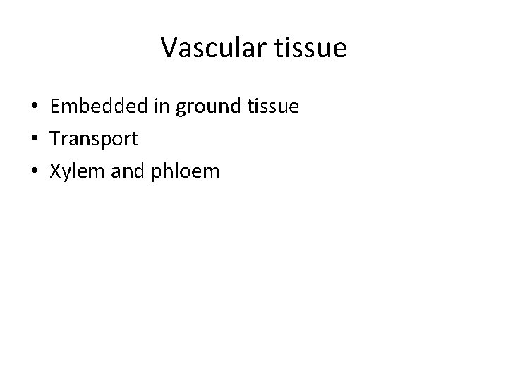 Vascular tissue • Embedded in ground tissue • Transport • Xylem and phloem 
