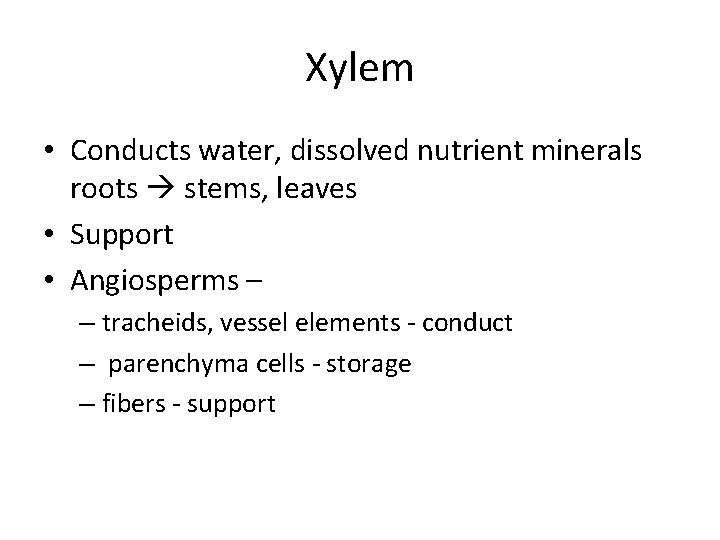 Xylem • Conducts water, dissolved nutrient minerals roots stems, leaves • Support • Angiosperms