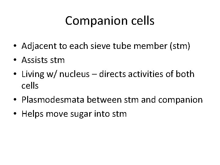 Companion cells • Adjacent to each sieve tube member (stm) • Assists stm •