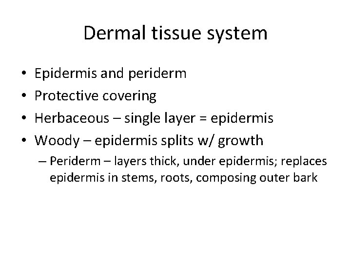 Dermal tissue system • • Epidermis and periderm Protective covering Herbaceous – single layer