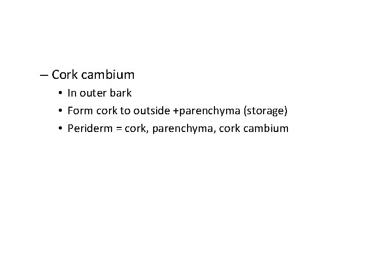 – Cork cambium • In outer bark • Form cork to outside +parenchyma (storage)