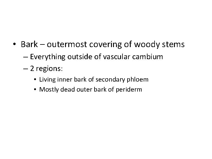  • Bark – outermost covering of woody stems – Everything outside of vascular