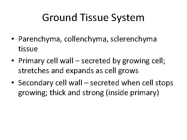 Ground Tissue System • Parenchyma, collenchyma, sclerenchyma tissue • Primary cell wall – secreted