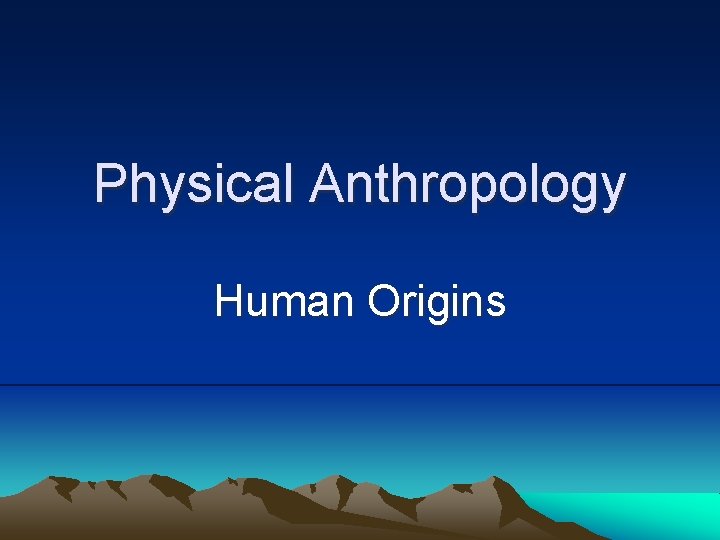 Physical Anthropology Human Origins 