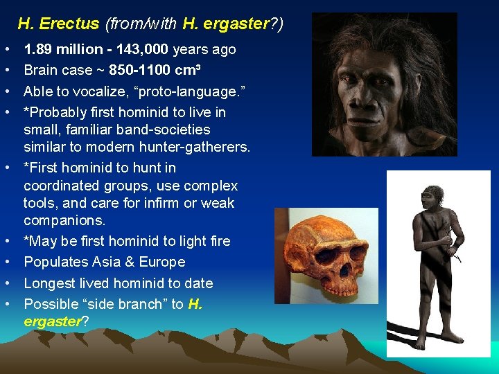 H. Erectus (from/with H. ergaster? ) • • • 1. 89 million - 143,