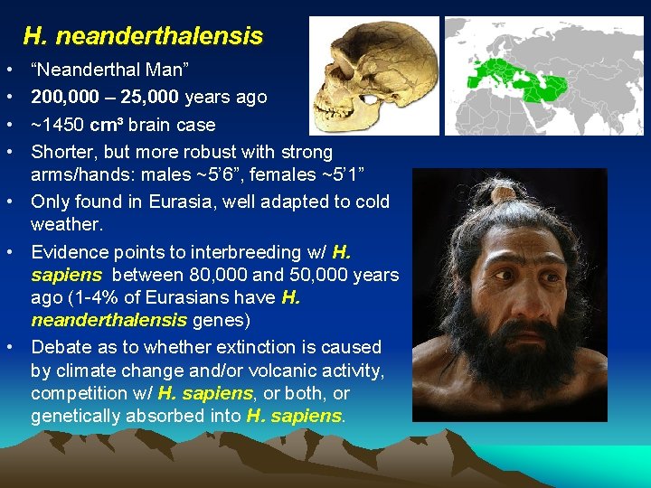 H. neanderthalensis • • “Neanderthal Man” 200, 000 – 25, 000 years ago ~1450