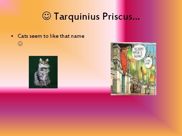  Tarquinius Priscus… • Cats seem to like that name 