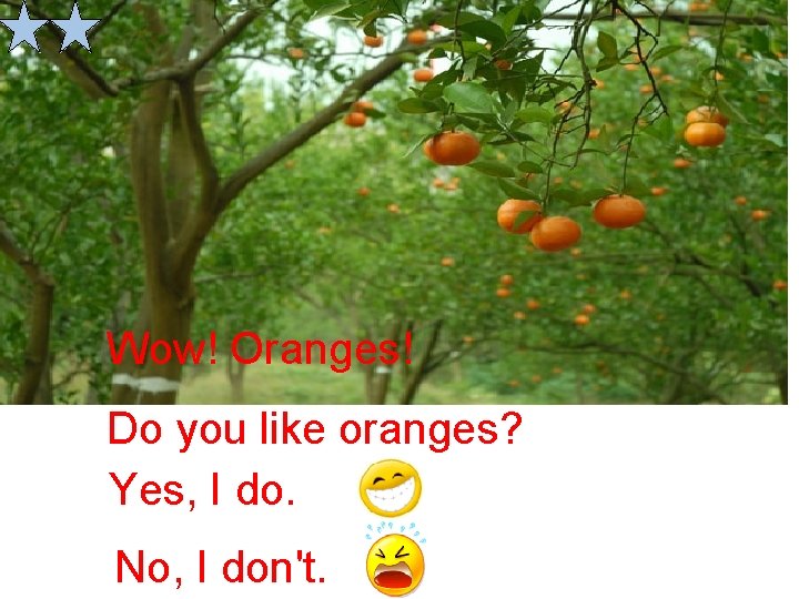 Wow! Oranges! Do you like oranges? Yes, I do. No, I don't. 