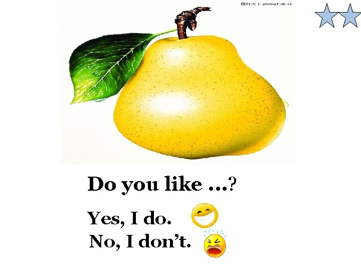 Do you like. . . ? Yes, I do. No, I don’t. 