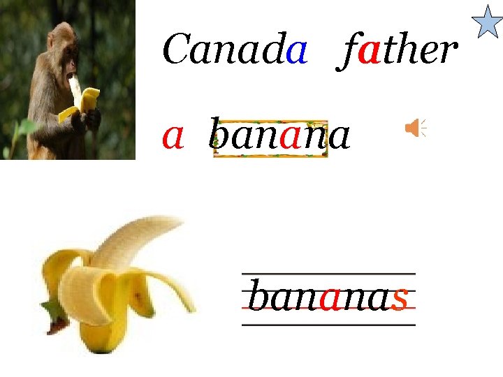 Canada a father a a bananas 