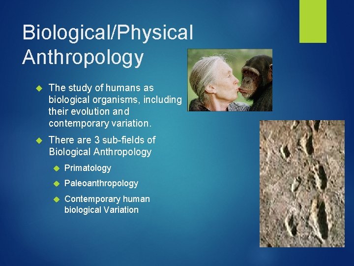 Cultural Anthropology AN INTRODUCTION The passion for seeking