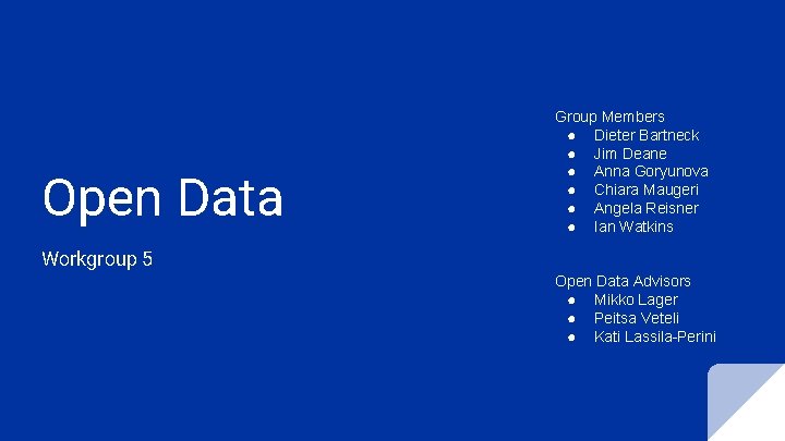 Open Data Group Members ● Dieter Bartneck ● Jim Deane ● Anna Goryunova ●