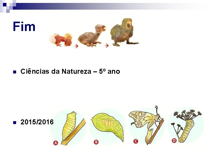 Fim n Ciências da Natureza – 5º ano n 2015/2016 