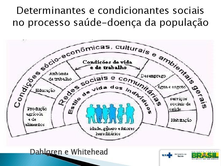 Determinantes e condicionantes sociais no processo saúde-doença da população Dahlgren e Whitehead 