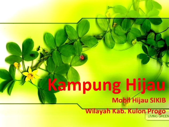 Kampung Hijau Mobil Hijau SIKIB Wilayah Kab. Kulon Progo 