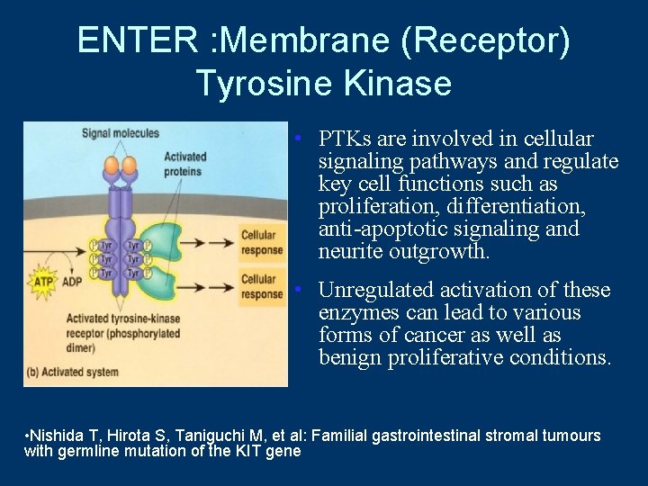 ENTER : Membrane (Receptor) Tyrosine Kinase • PTKs are involved in cellular signaling pathways
