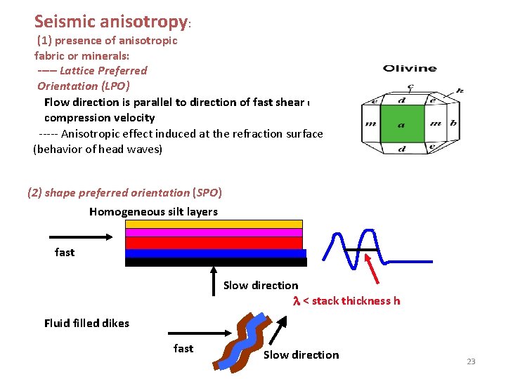 Seismic anisotropy: (1) presence of anisotropic fabric or minerals: ----- Lattice Preferred Orientation (LPO)