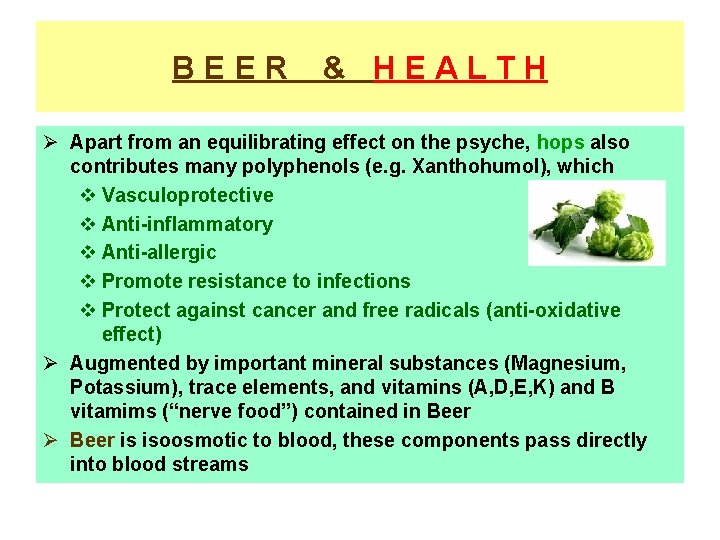 BEER & HEALTH Ø Apart from an equilibrating effect on the psyche, hops also