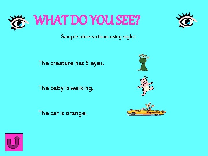 WHAT DO YOU SEE? Sample observations using sight: The creature has 5 eyes. The WHAT DO YOU SEE? Sample observations using sight: The creature has 5 eyes. The