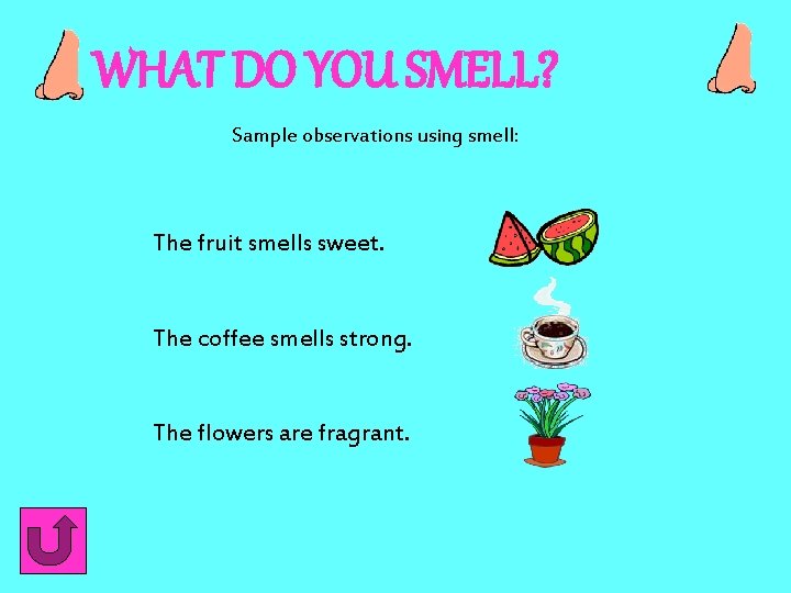WHAT DO YOU SMELL? Sample observations using smell: The fruit smells sweet. The coffee WHAT DO YOU SMELL? Sample observations using smell: The fruit smells sweet. The coffee