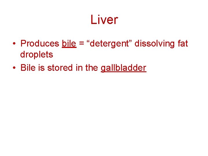 Liver • Produces bile = “detergent” dissolving fat droplets • Bile is stored in Liver • Produces bile = “detergent” dissolving fat droplets • Bile is stored in