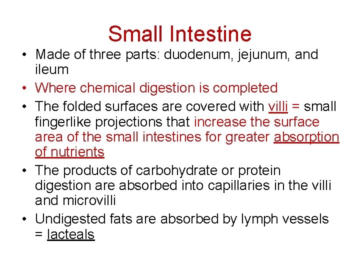 Small Intestine • Made of three parts: duodenum, jejunum, and ileum • Where chemical Small Intestine • Made of three parts: duodenum, jejunum, and ileum • Where chemical