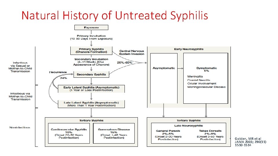 Natural History of Untreated Syphilis • Golden, MR et al JAMA 2003; 290(11) 1510