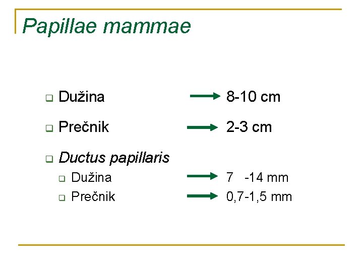 Papillae mammae q Dužina 8 -10 cm q Prečnik 2 -3 cm q Ductus