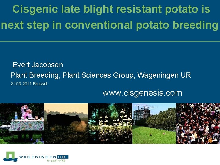 Cisgenic late blight resistant potato is next step in conventional potato breeding Evert Jacobsen