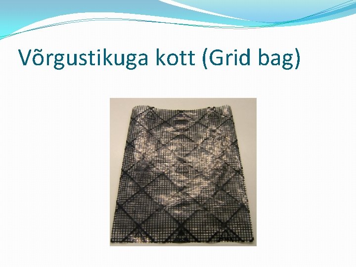 Võrgustikuga kott (Grid bag) 