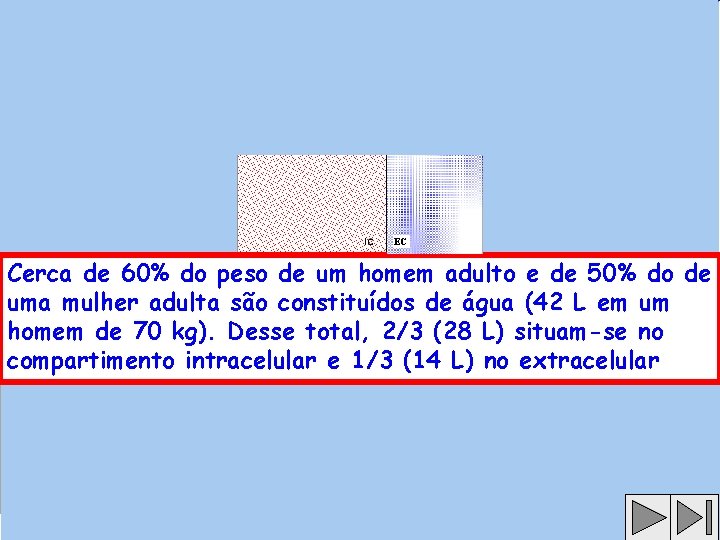 EC Cerca de 60% do peso de um homem adulto e de 50% do