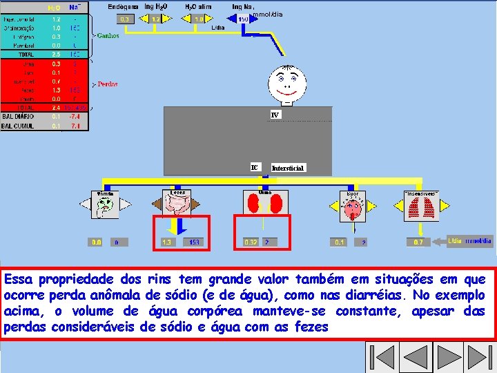 , mmol/dia IV IC Intersticial Essa propriedade dos rins tem grande valor também em