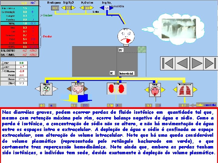 , mmol/dia IV IC Intersticial Nas diarréias graves, podem ocorrer perdas de fluido isotônico