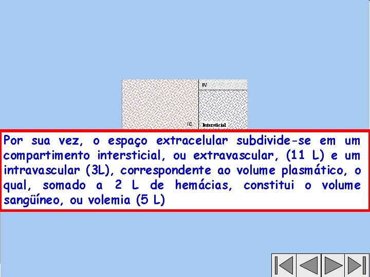 Intersticial Por sua vez, o espaço extracelular subdivide-se em um compartimento intersticial, ou extravascular,