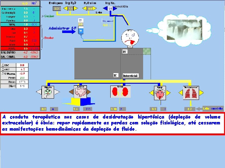 , mmol/dia Administrar SF IV IC Intersticial A conduta terapêutica nos casos de desidratação