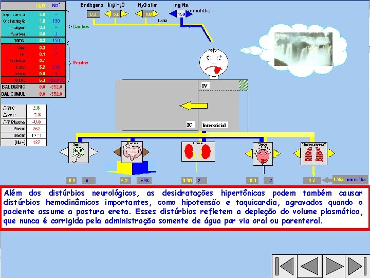 , mmol/dia IV IC Intersticial Além dos distúrbios neurológicos, as desidratações hipertônicas podem também